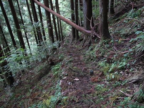 20181016hike (235)
